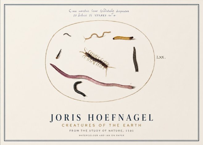 Joris Hoefnagel Creatures of the Earth II No1 - Plakát