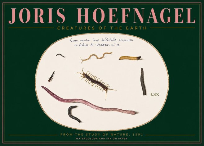 Joris Hoefnagel Creatures of the Earth II No2 - Plakát