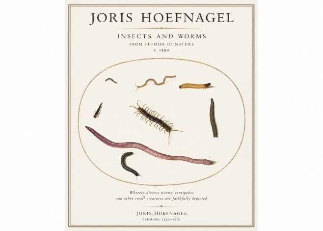 Joris Hoefnagel Creatures of the Earth II No5 - Plakát