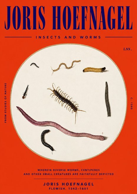Joris Hoefnagel Creatures of the Earth II No6 - Plakát