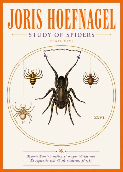 Joris Hoefnagel Study of Spiders No5 - Plakát