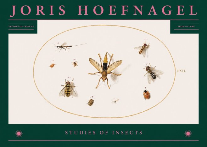 Joris Hoefnagel Studies of Insects IV No2 - Plakát