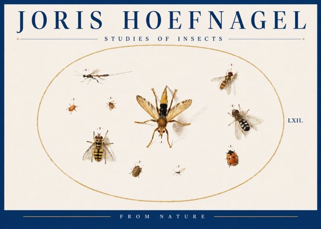 Joris Hoefnagel Studies of Insects IV No4 - Plakát
