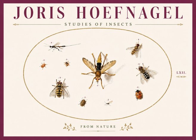Joris Hoefnagel Studies of Insects IV No6 - Plakát