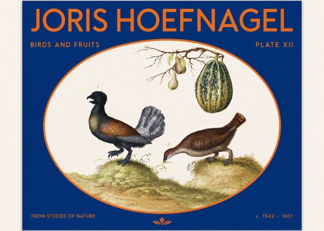 Joris Hoefnagel A Cock and Hen of the Woods with Pears and Gourd No2 - Plakát