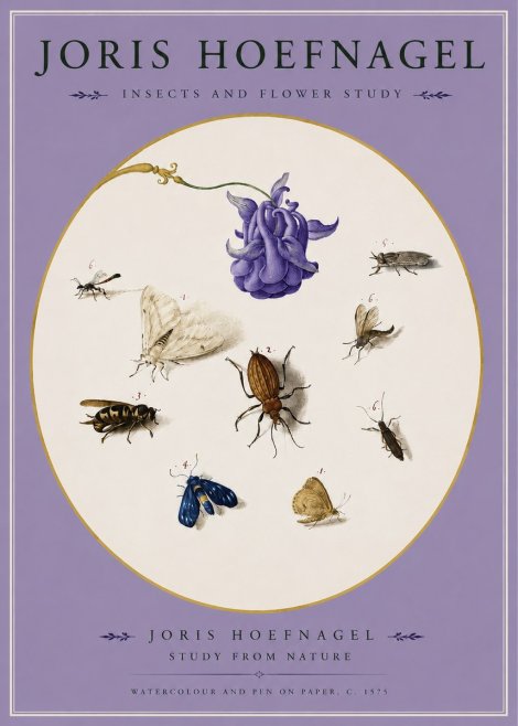 Joris Hoefnagel Studies of Insects and Flowers No3 - Plakát