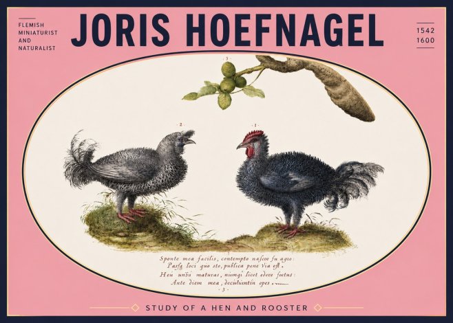 Joris Hoefnagel Study of a Hen and Rooster No5 - Plakát