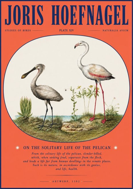 Joris Hoefnagel The Solitary Sanctuary of the Spoonbill and the Flamingo No4 - Plakát