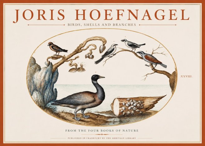 Joris Hoefnagel Birds, Shells and Branches No3 - Plakát
