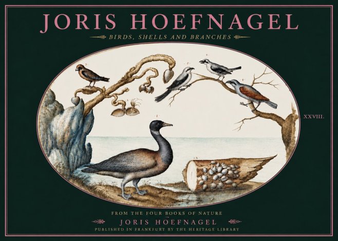 Joris Hoefnagel Birds, Shells and Branches No4 - Plakát