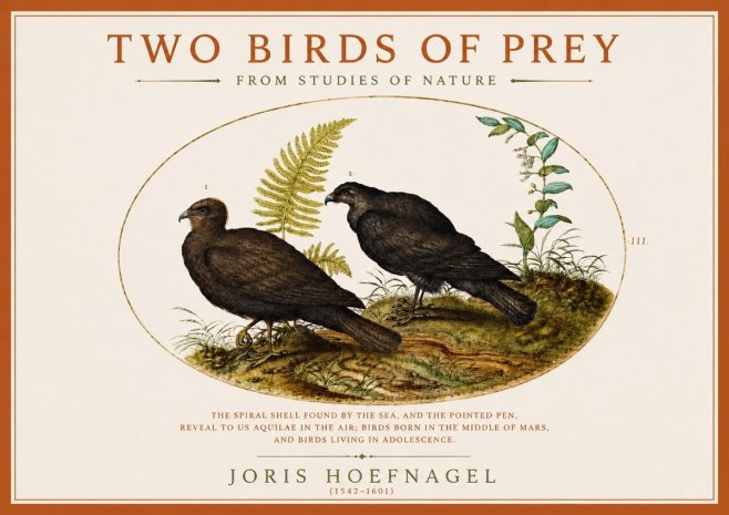 Joris Hoefnagel Two Birds of Prey - from Studies of Nature No3 - Plakát
