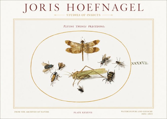 Joris Hoefnagel Flying Things Preceding. No1 - Plakát