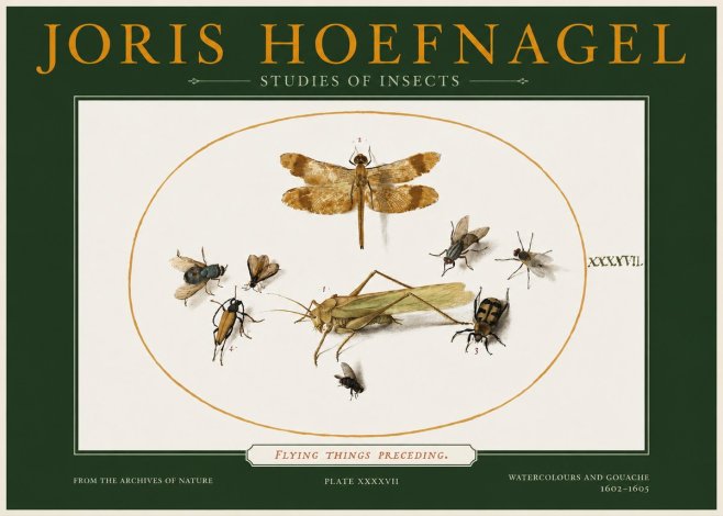 Joris Hoefnagel Flying Things Preceding. No2 - Plakát