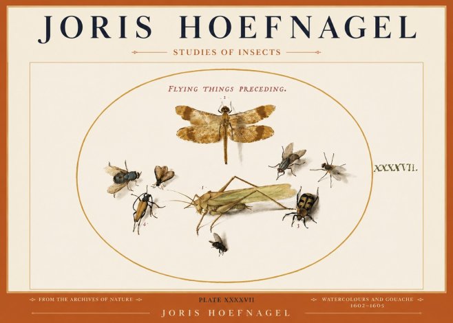 Joris Hoefnagel Flying Things Preceding. No3 - Plakát