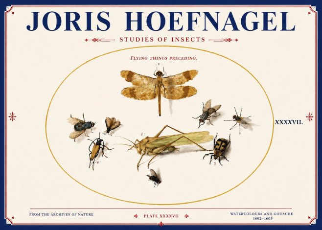 Joris Hoefnagel Flying Things Preceding. No4 - Plakát