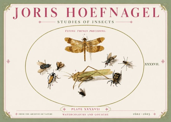 Joris Hoefnagel Flying Things Preceding. No5 - Plakát