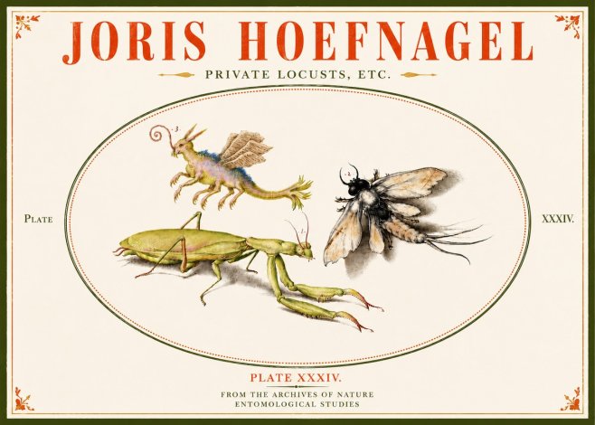 Joris Hoefnagel Privs Locvsta Bovem. No6 - Plakát