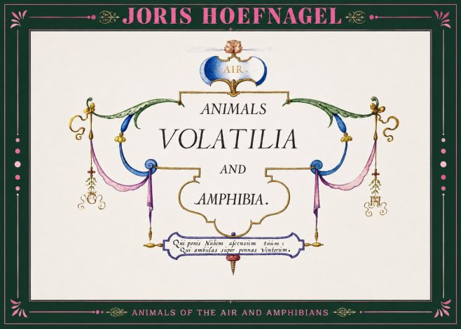 Joris Hoefnagel Animals Volatilia and Amphibia. No2 - Plakát