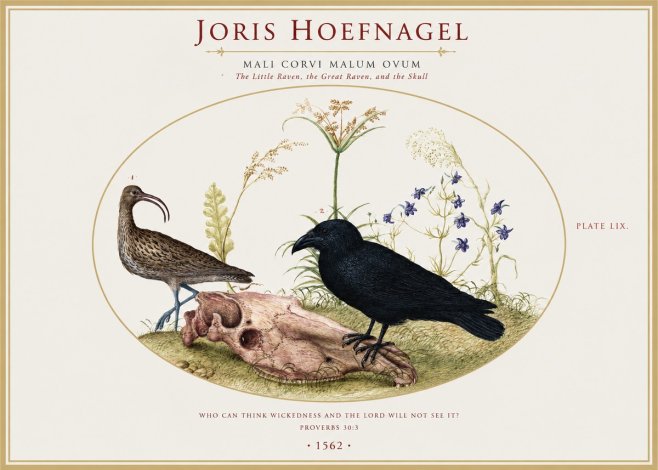 Joris Hoefnagel The Little Raven, the Great Raven, and the Skull No1 - Plakát