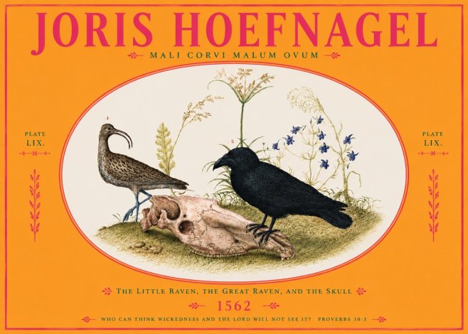 Joris Hoefnagel The Little Raven, the Great Raven, and the Skull No4 - Plakát