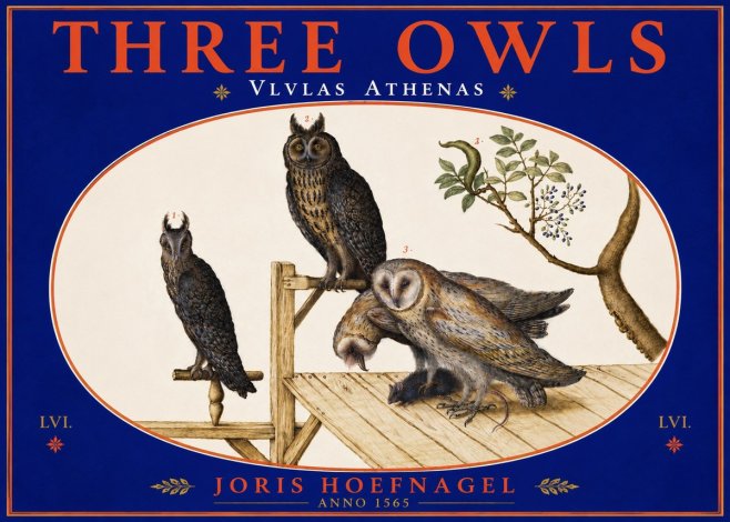 Joris Hoefnagel Vlvlas Athenas No5 - Plakát