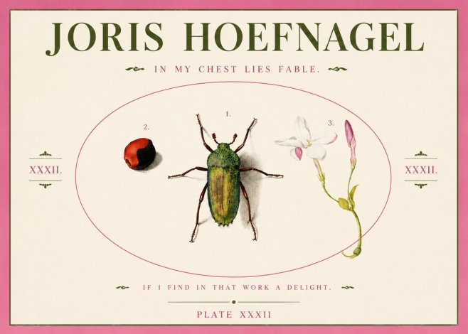 Joris Hoefnagel In My Chest Lies Fable No3 - Plakát