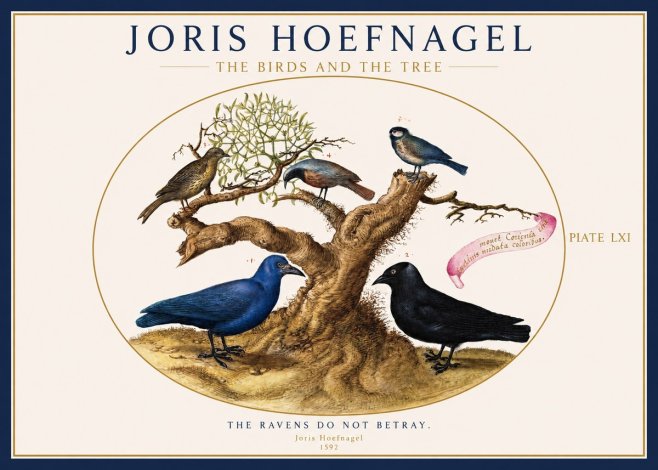 Joris Hoefnagel The Birds and the Tree No1 - Plakát
