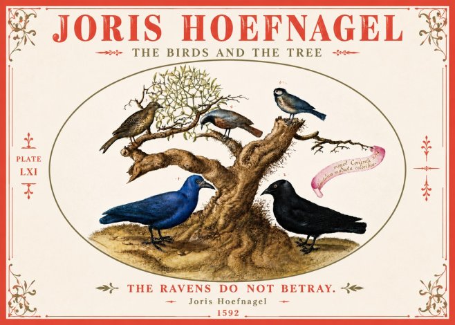 Joris Hoefnagel The Birds and the Tree No6 - Plakát