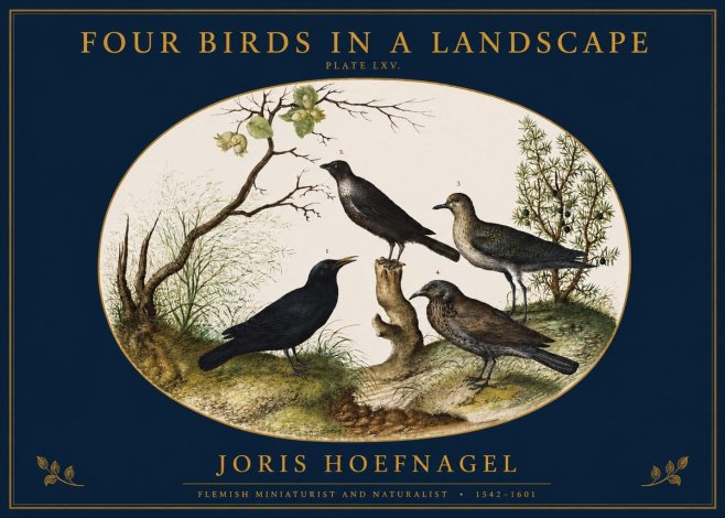 Joris Hoefnagel Four Birds in a Landscape No2 - Plakát