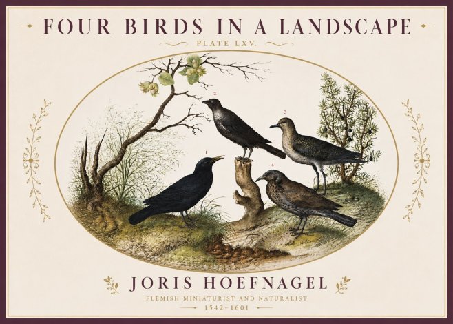 Joris Hoefnagel Four Birds in a Landscape No4 - Plakát