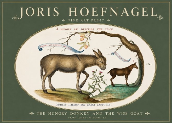 Joris Hoefnagel The Hungry Donkey and the Wise Goat No3 - Plakát