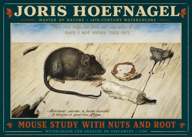 Joris Hoefnagel Mouse Study with Nuts and Root No2 - Plakát