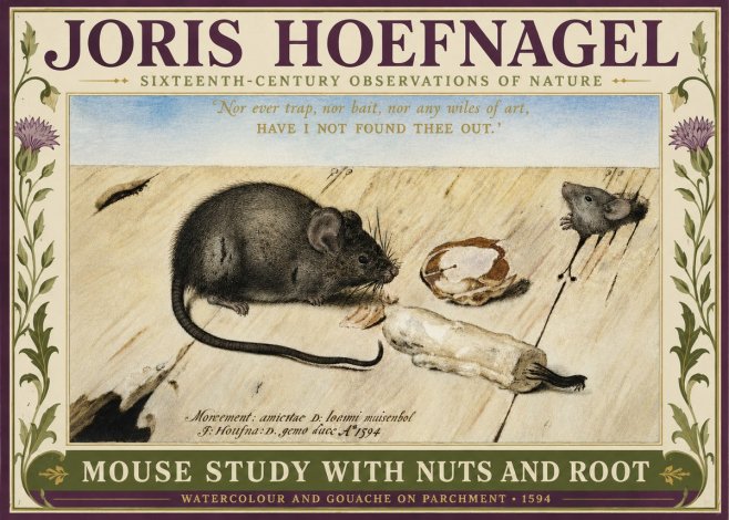Joris Hoefnagel Mouse Study with Nuts and Root No3 - Plakát