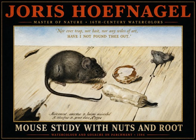 Joris Hoefnagel Mouse Study with Nuts and Root No4 - Plakát