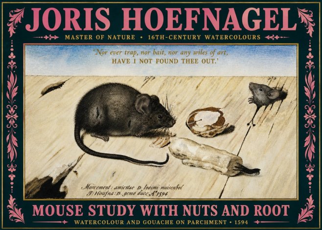 Joris Hoefnagel Mouse Study with Nuts and Root No5 - Plakát