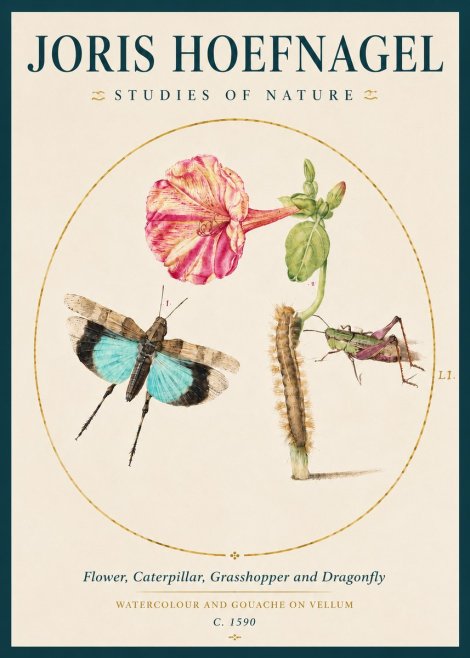Joris Hoefnagel Plate L1. Studies of Insects and Plants No4 - Plakát