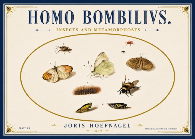 Joris Hoefnagel Homo Bombilivs. Insecta Et Metamorphoses No6 - Plakát