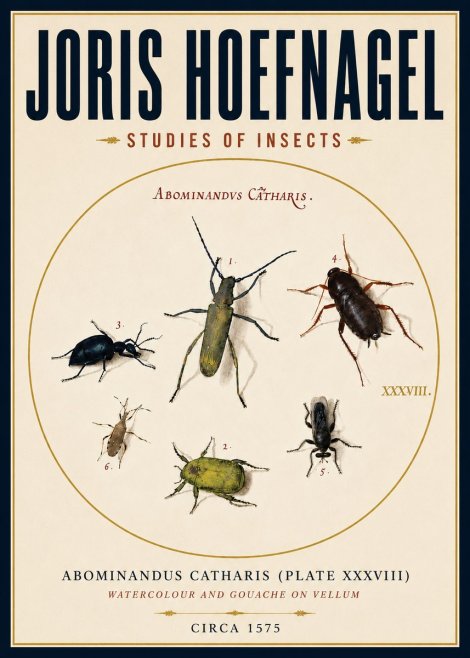 Joris Hoefnagel Abominandus Catharis (Plate Xxxviii) No4 - Plakát