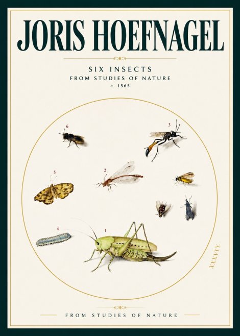 Joris Hoefnagel Six Insects from Studies of Nature C. 1565 No2 - Plakát