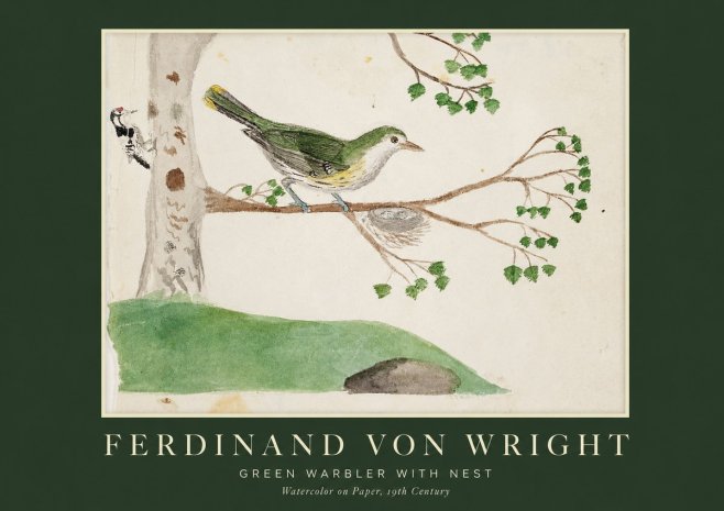 Ferdinand von Wright Green Warbler with Nest No1 - Plakát
