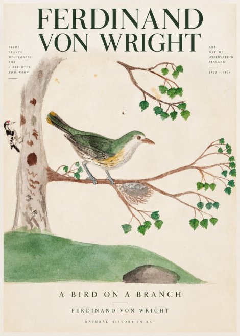 Ferdinand von Wright Green Warbler with Nest No4 - Plakát