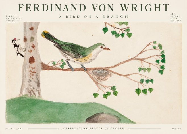 Ferdinand von Wright Green Warbler with Nest No5 - Plakát