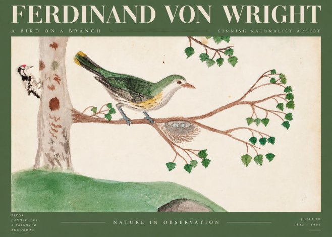 Ferdinand von Wright Green Warbler with Nest No6 - Plakát