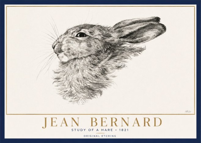 Jean Bernard Study of a Hare No3 - Plakát