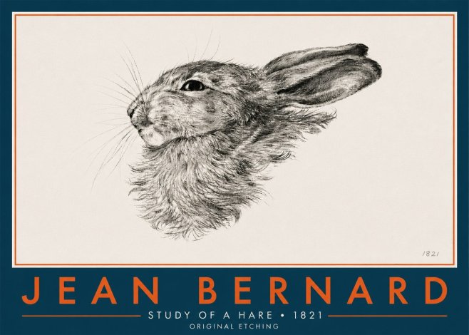 Jean Bernard Study of a Hare No6 - Plakát