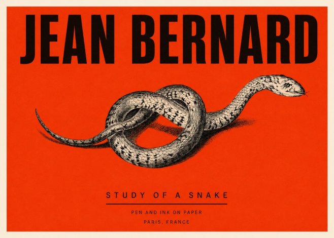 Jean Bernard Study of a Snake No3 - Plakát