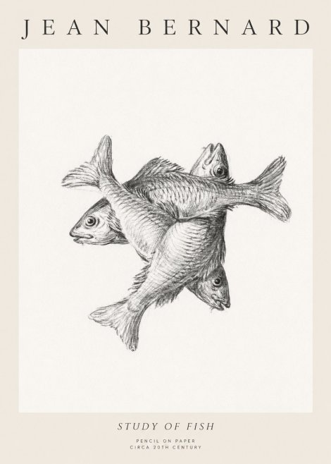 Jean Bernard Study of Fish No1 - Plakát