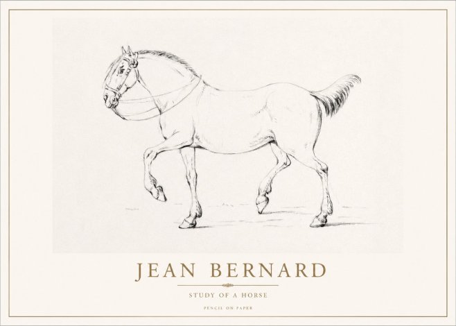 Jean Bernard Study of a Horse XVI No1 - Plakát