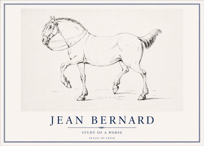 Jean Bernard Study of a Horse XVI No3 - Plakát