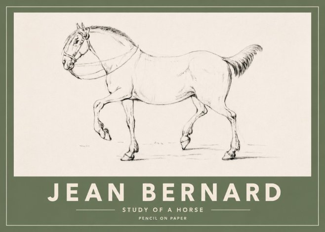 Jean Bernard Study of a Horse XVI No4 - Plakát